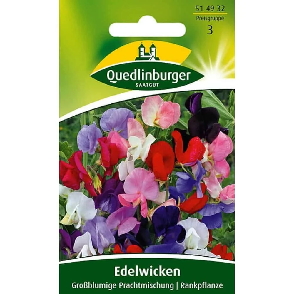 "Pois de senteur, mélange à grandes fleurs image"