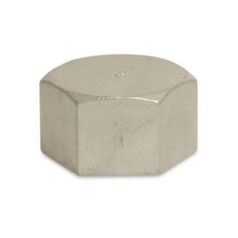 "Raccord Fileté Inox 2 Pouces, Bouchon Inox V4A image"