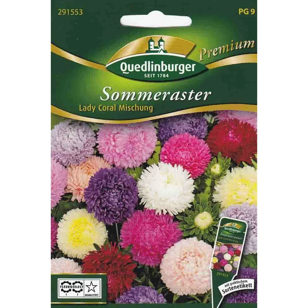 "Astres d'été Lady Coral : Mélange de graines pour un jardin coloré image"