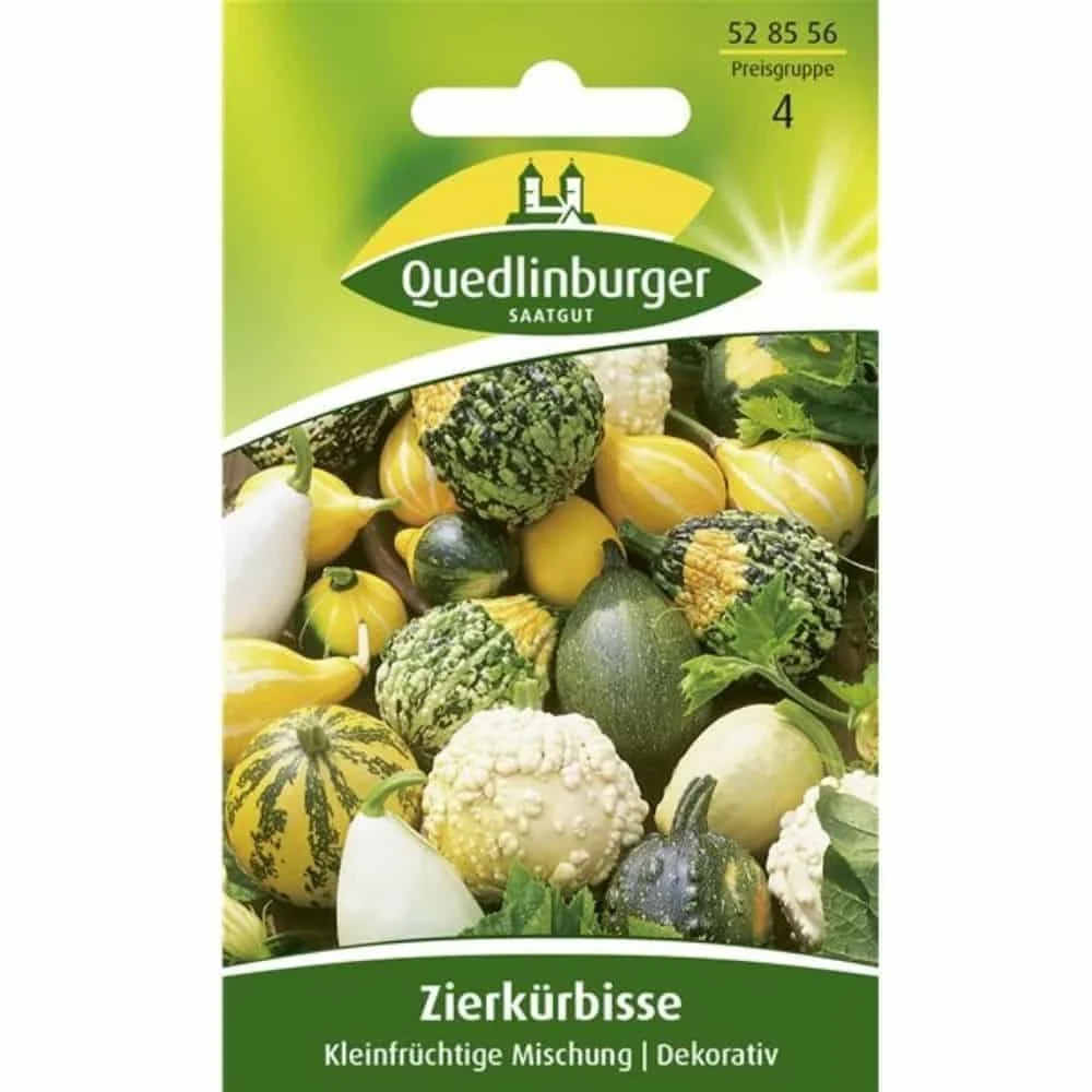 "Mélange de Courges d'Ornement Miniatures image"