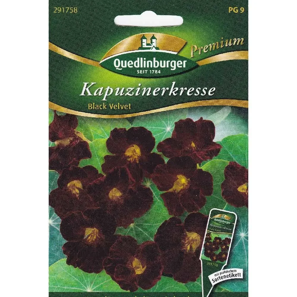 "Graines de Capucine 'Black Velvet' Comestibles image"