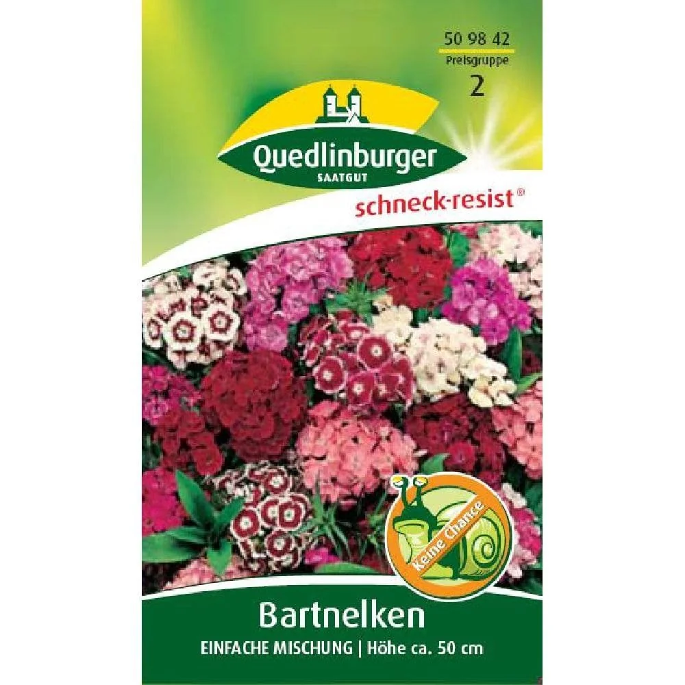 "Graines d'œillets de poète - Mélange simple pour jardin fleuri image"