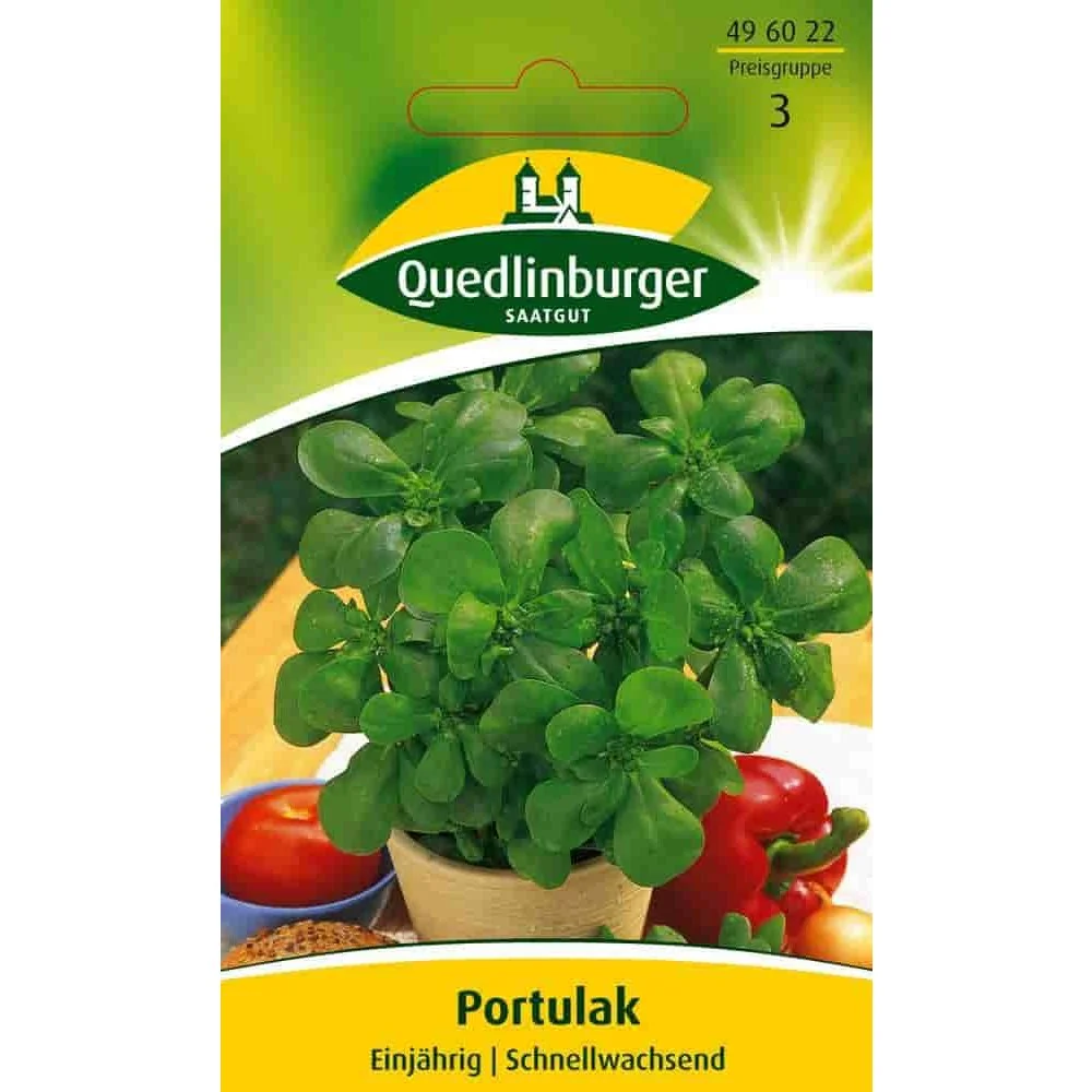 "Pourpier image"