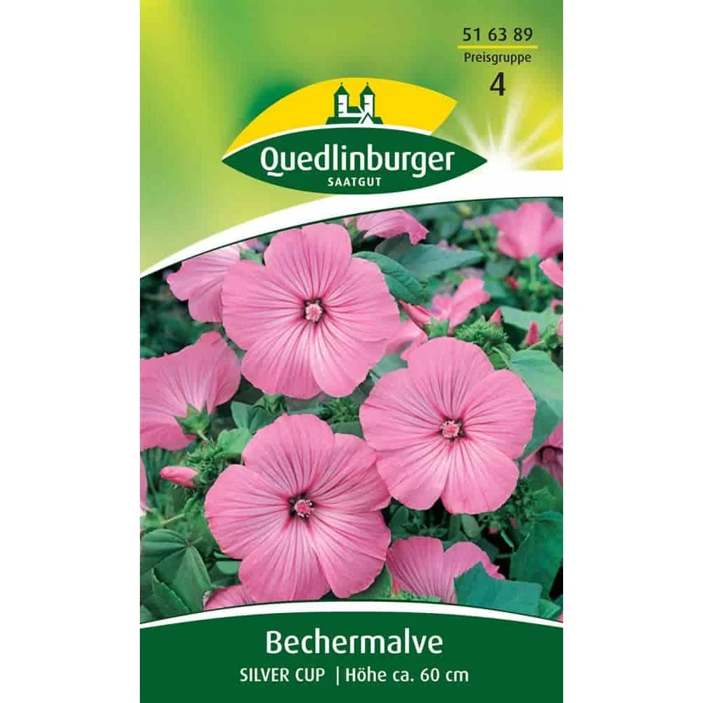 "Acheter Bechermalve Silver Cup: Graines de Fleurs Roses d'Été image"