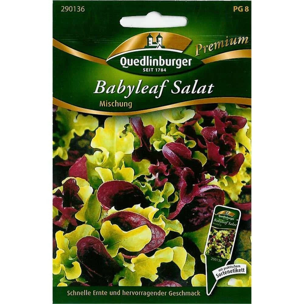 "Mélange de Graines de Salades Variées, Salade à Couper et à Semer image"
