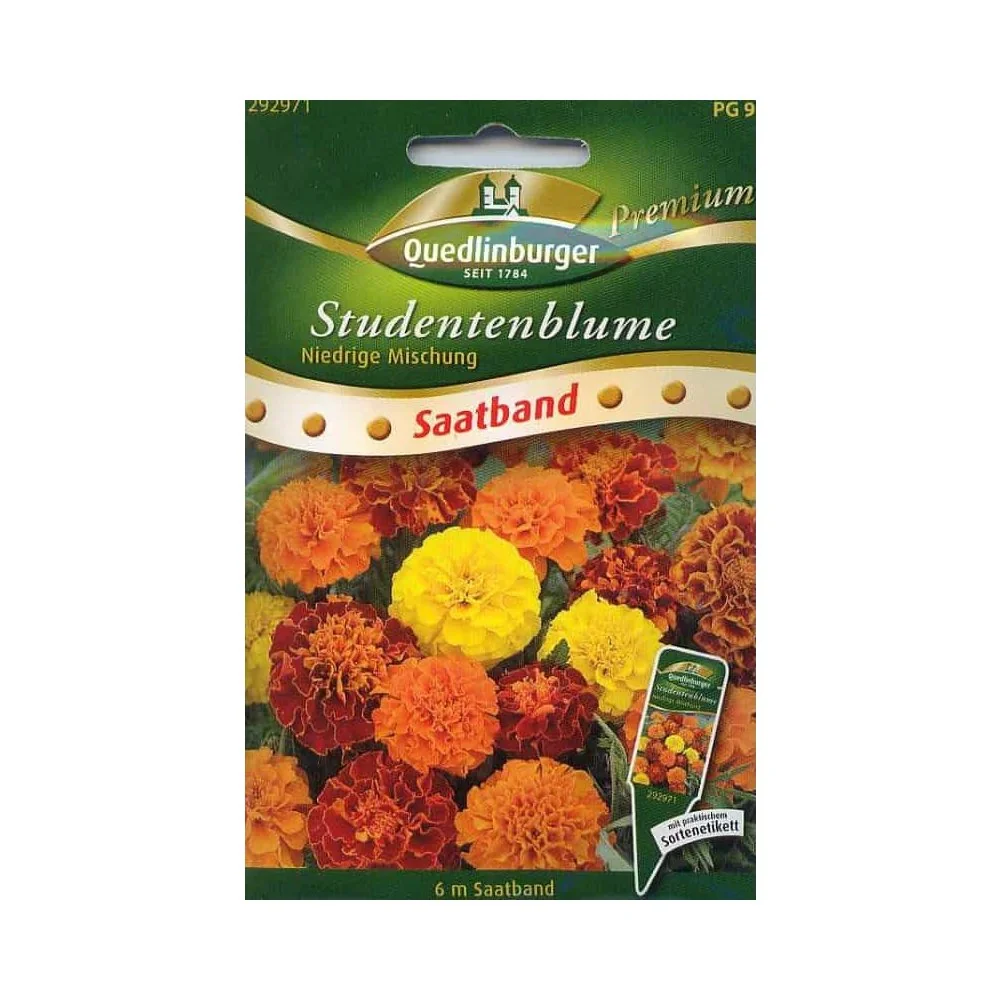 "Ruban de graines de roses d'Inde, mélange bas image"