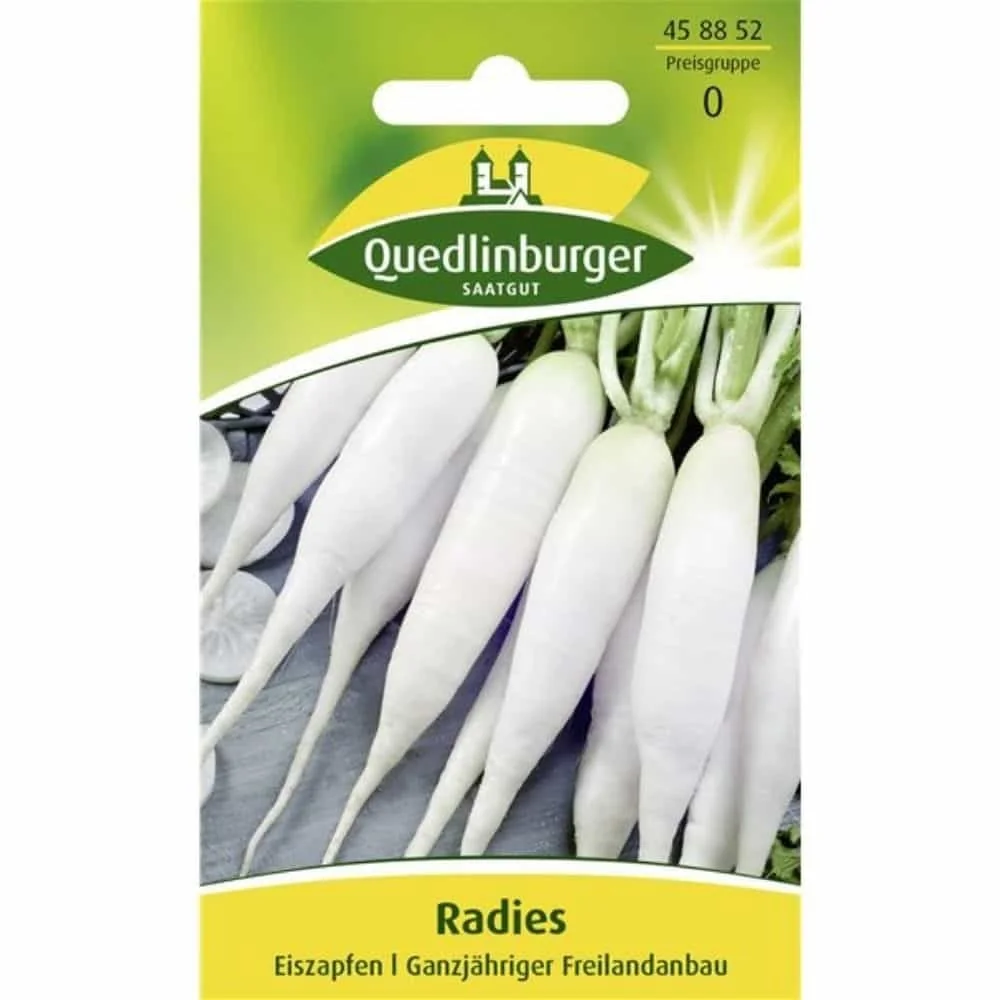 Radis, Glacé