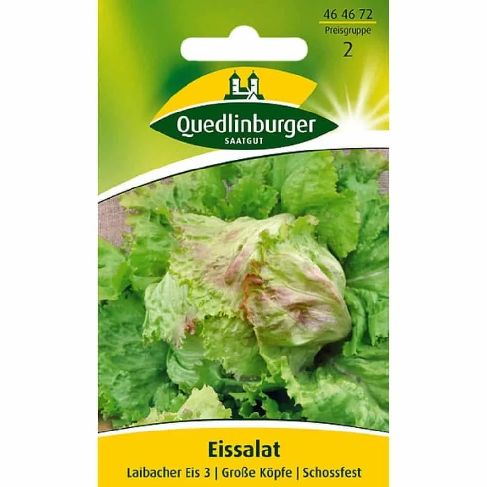 "Laitue iceberg, Laibacher Eis 3 image"