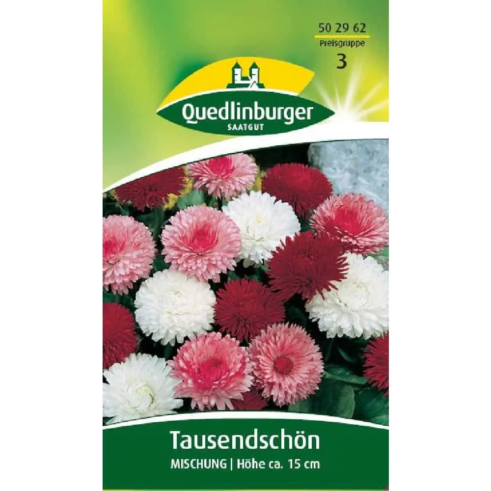 "Mélange de Graines de Pâquerettes Belles de Mai, Bisannuelles image"