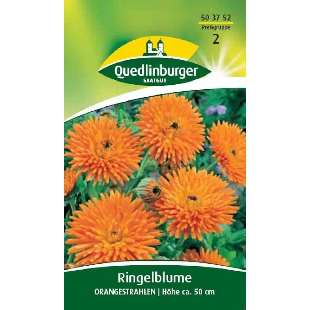 "Graines de Calendula 'Orangestrahlen', Fleur Comestible Orange image"