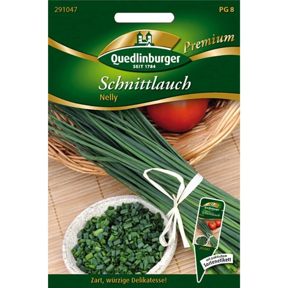"Ciboulette 'Nelly' - Herbe Aromatique Vivace image"