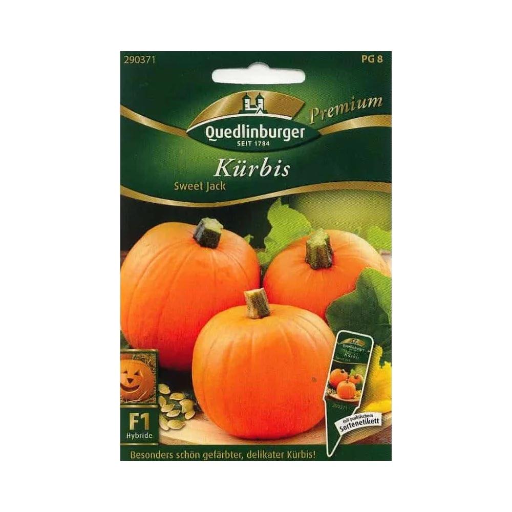 Acheter Citrouille Sweet Jack F1 : Courge Comestible, Potimarron