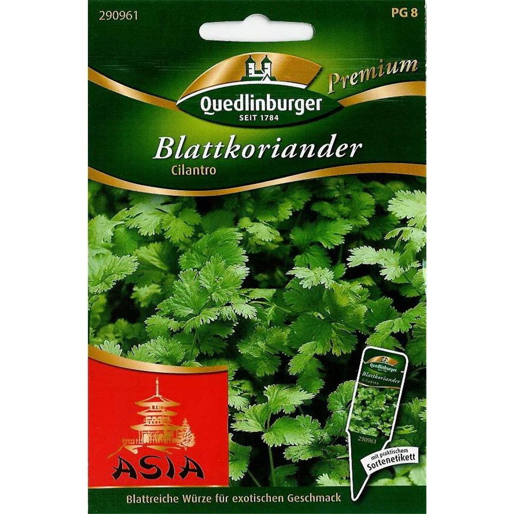"Coriandre à feuilles, Cilantro image"