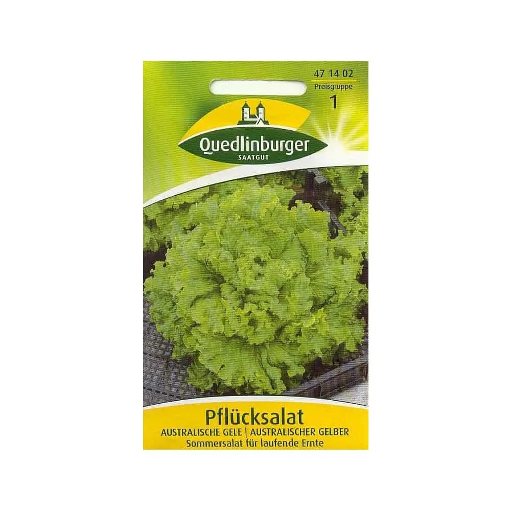 Salade à Couper 'Australienne Dorée'
