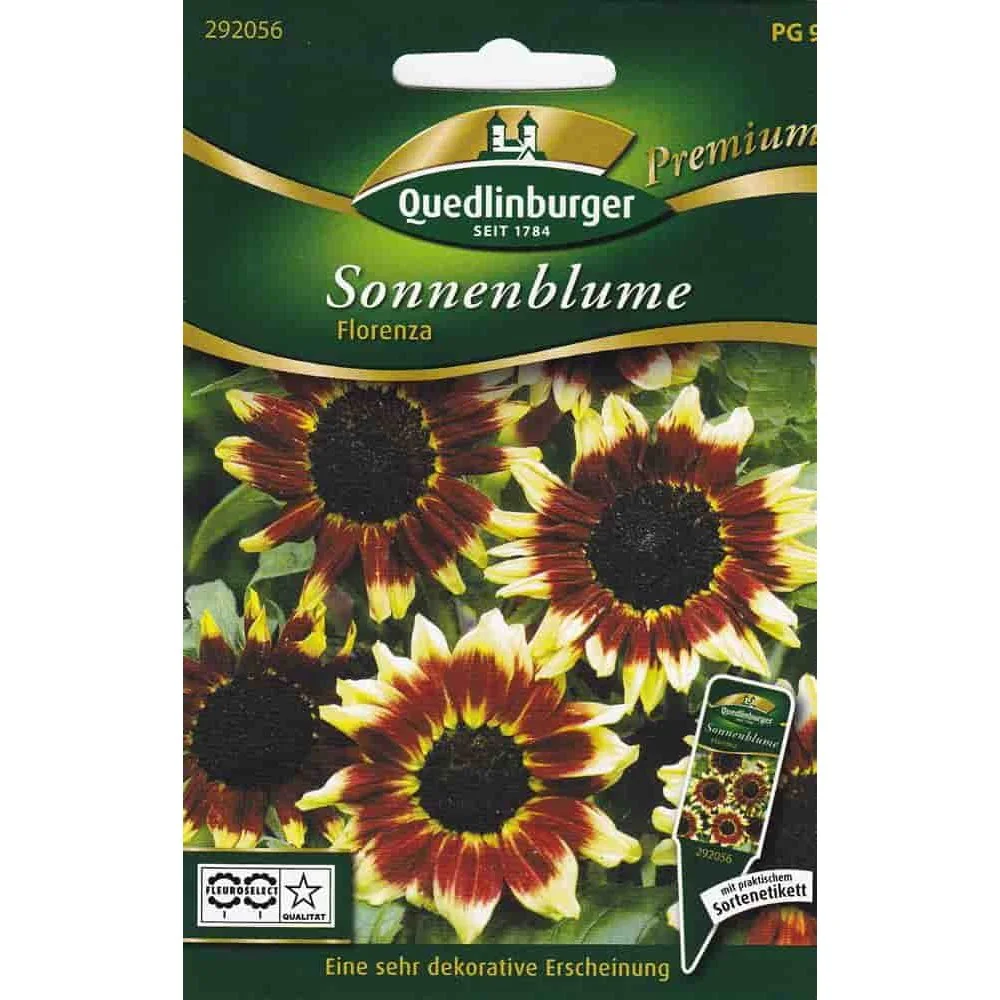 "Graines de tournesol Florenza, Variété Annuelle pour Jardin image"