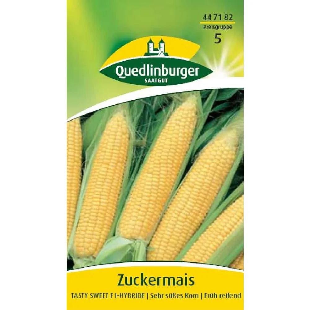"Maïs Sucré Tasty Sweet F1-Hybride : Graines de Maïs Sucré image"