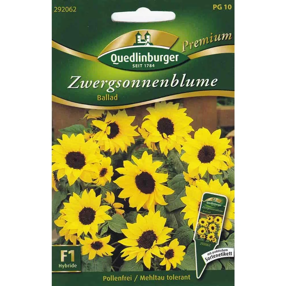 "Graines de Tournesol Nain Ballad F1 : Idéal Balcon & Pot image"