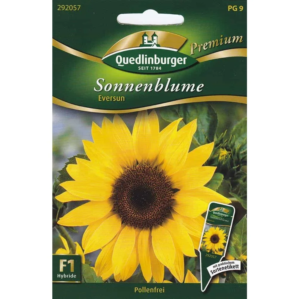 "Tournesol Eversun: Graines, Culture Facile, Sans Pollen, Fleurs Coupées image"