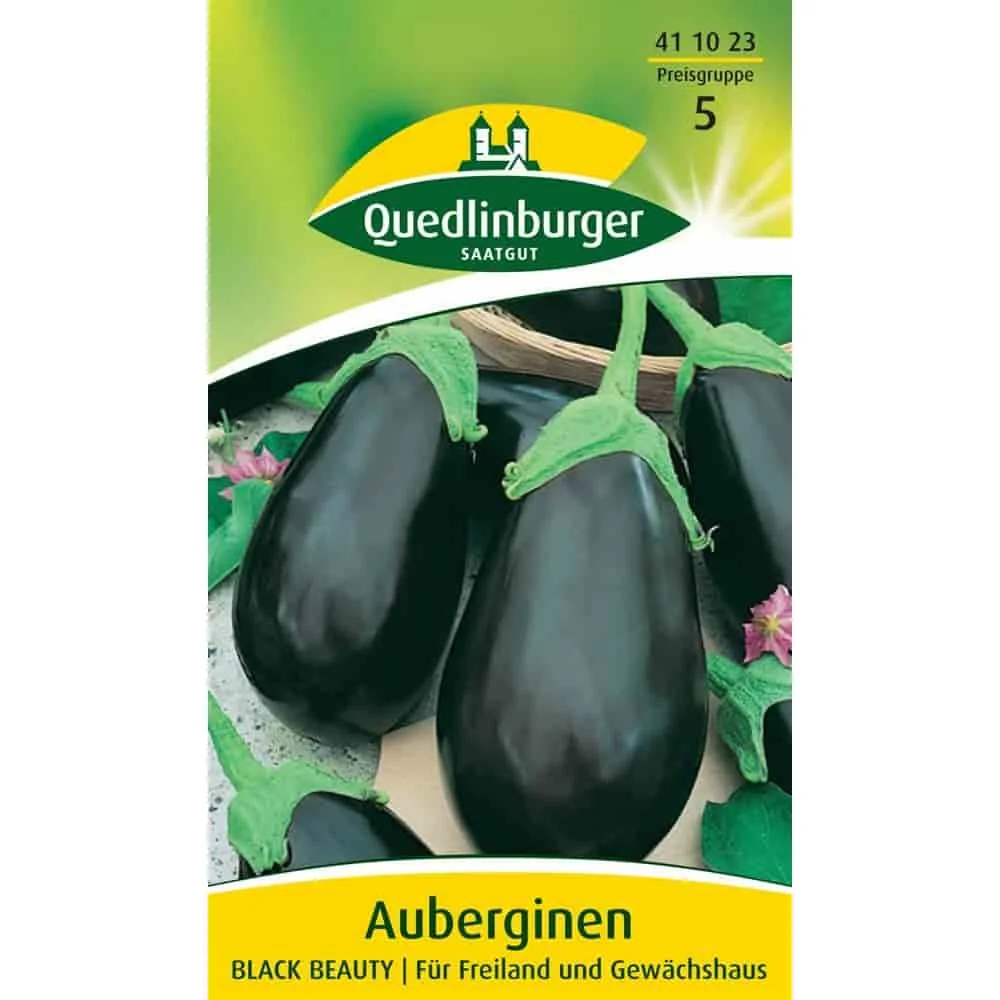 "Planter l'aubergine Black Beauty : Graines de qualité image"