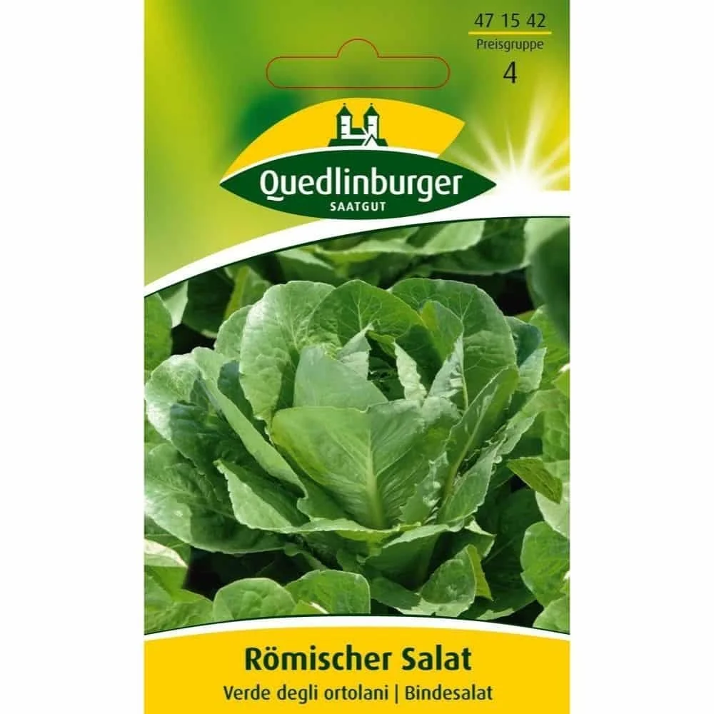 "Laitue romaine, Verde degli ortolani image"