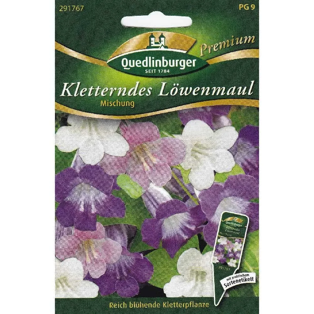 "Muflier Grimpant - Graines d'Asarina pour Balcon Fleuri image"