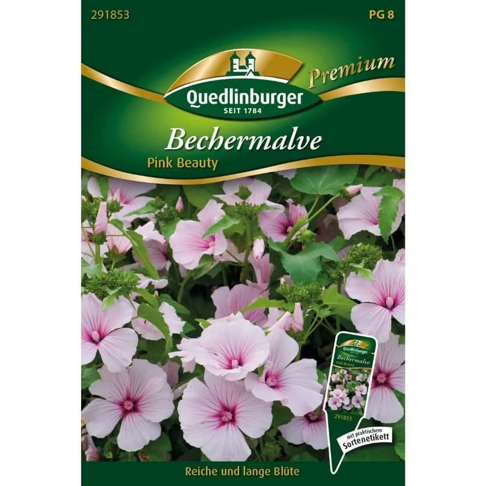 "Graines de Mauve Rose 'Pink Beauty' - Semis Faciles image"