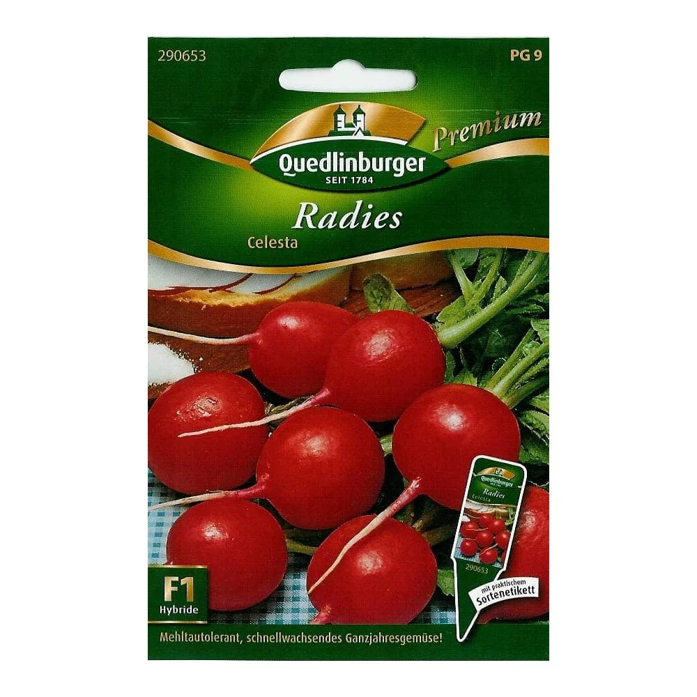 "Graines de Radis Celesta : Semis Facile et Récolte Rapide image"