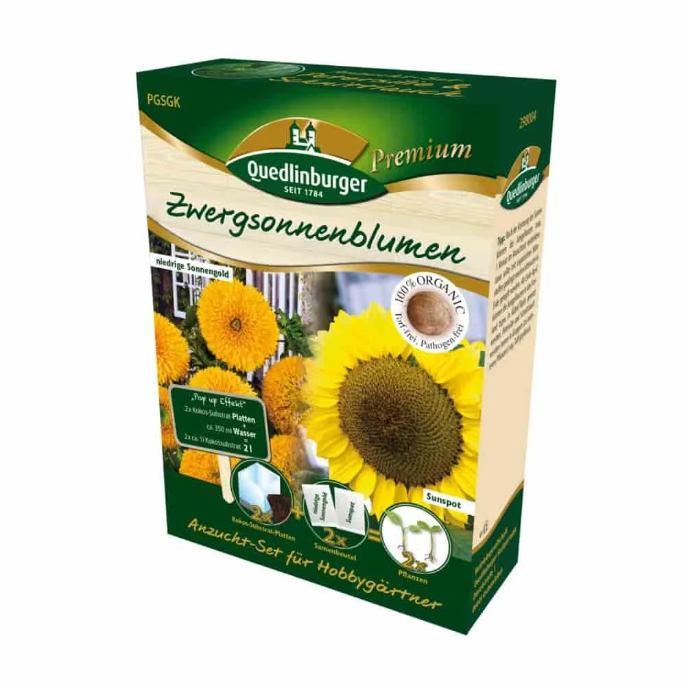 "Kit de Culture de Tournesol Nain : Graines et Facilité image"