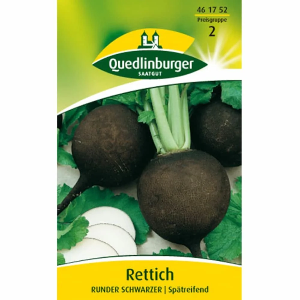 "Acheter Radis Noir d'Hiver - Graines Potagères pour le Jardin image"
