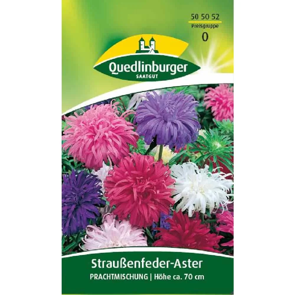 "Graines d'Aster à Fleurs de Plumes d'Autruche - Mélange Coloré image"
