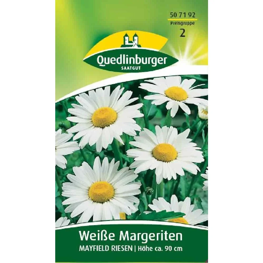 "Acheter des marguerites blanches Mayfield Riesen pour jardin image"