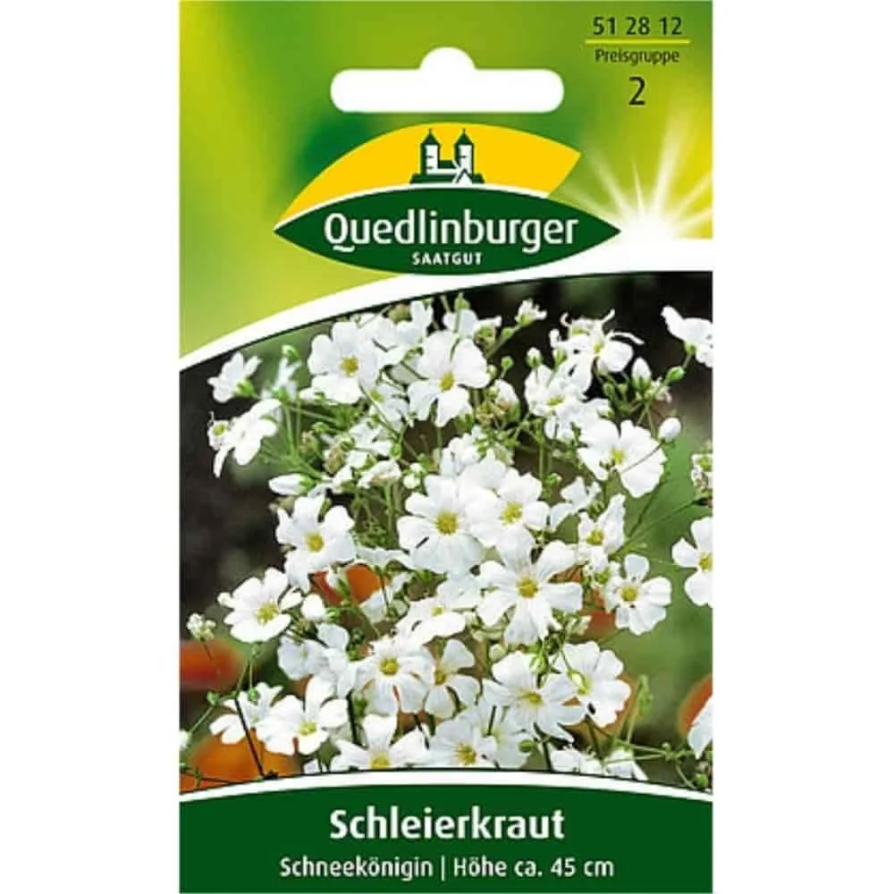 Graines Gypsophile 'Schneekönigin', Fleurs Blanches pour Rocaille