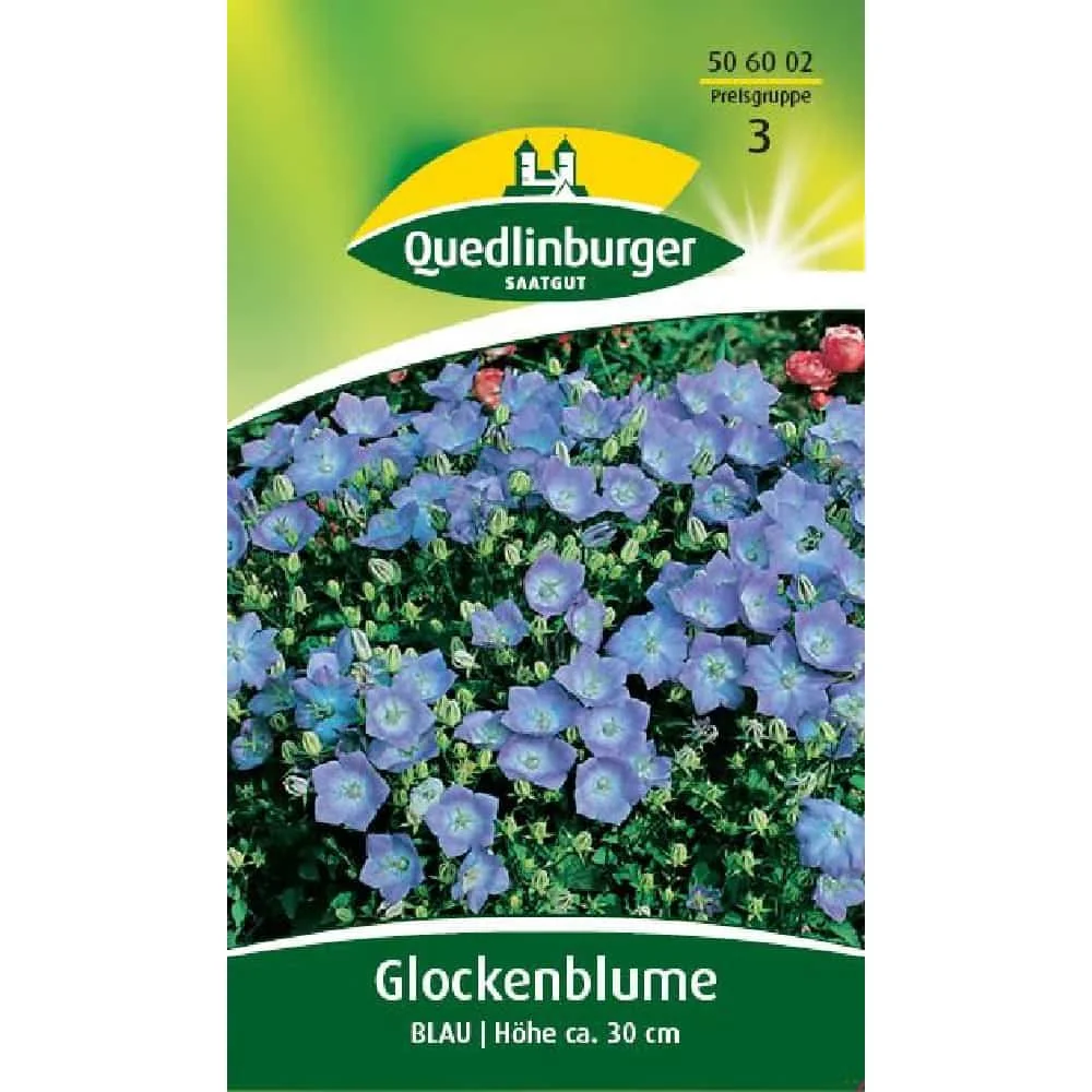 "Campanule Bleue Vivace : Embellissez Votre Jardin image"