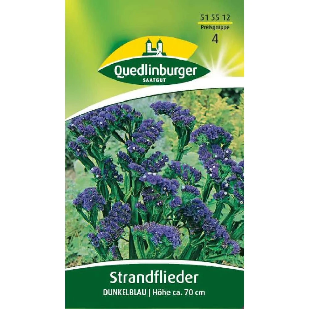 "Strandflieder bleu foncé - Statice pour bouquets secs et fleurs coupées image"