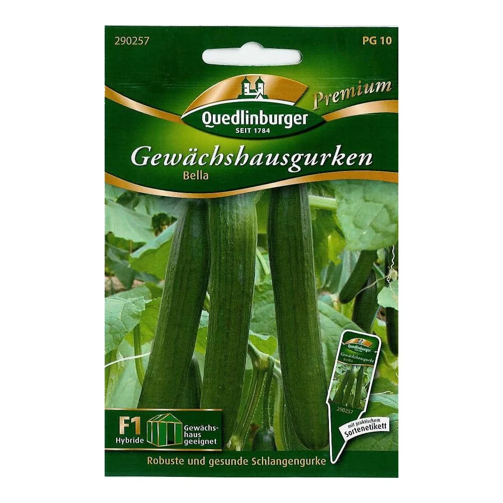 Concombre de Serre Bella F1 - Variété Précoce et Productive