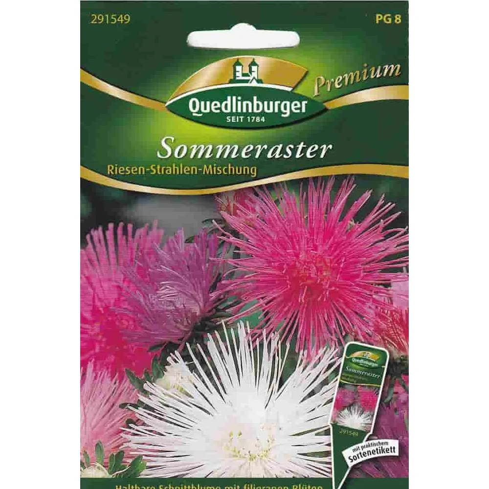 "Graines d'Asters d'Été, Mélange Riesen Strahlen, Fleurs Coupées image"
