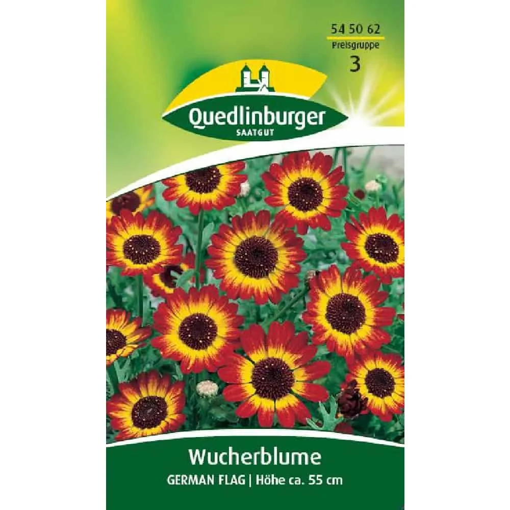 "Wucherblume: Graines de Fleurs d'Été, Faciles à Semer image"