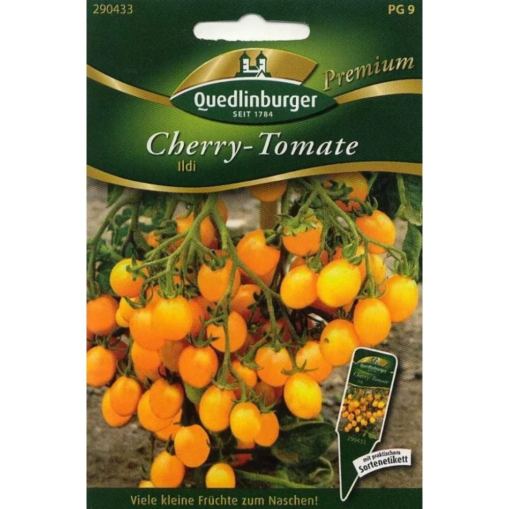 "Tomates Cerises Ildi F1: Graines de Tomates Cerises Jaunes image"