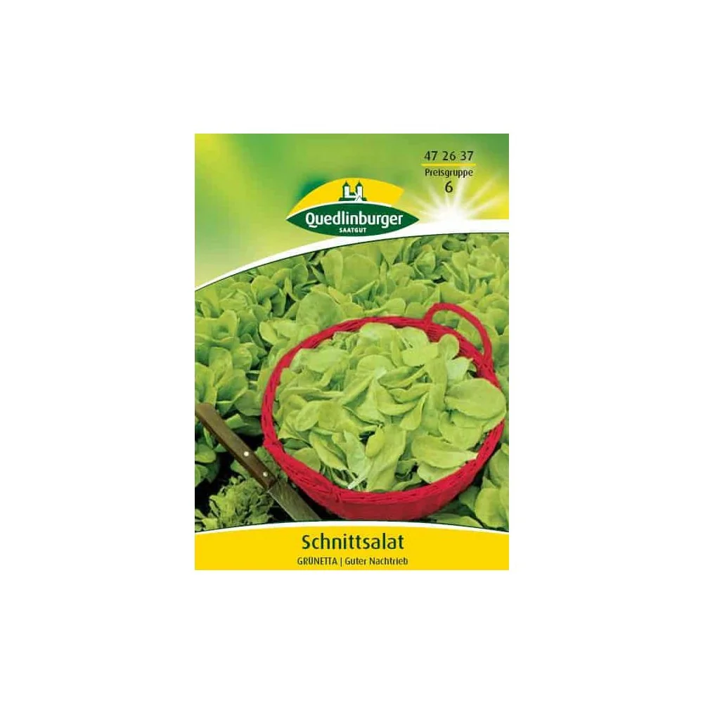 "Graines de Laitue à Couper 'Verde Ricciolina' 50g - Pour Salades Fraîches image"