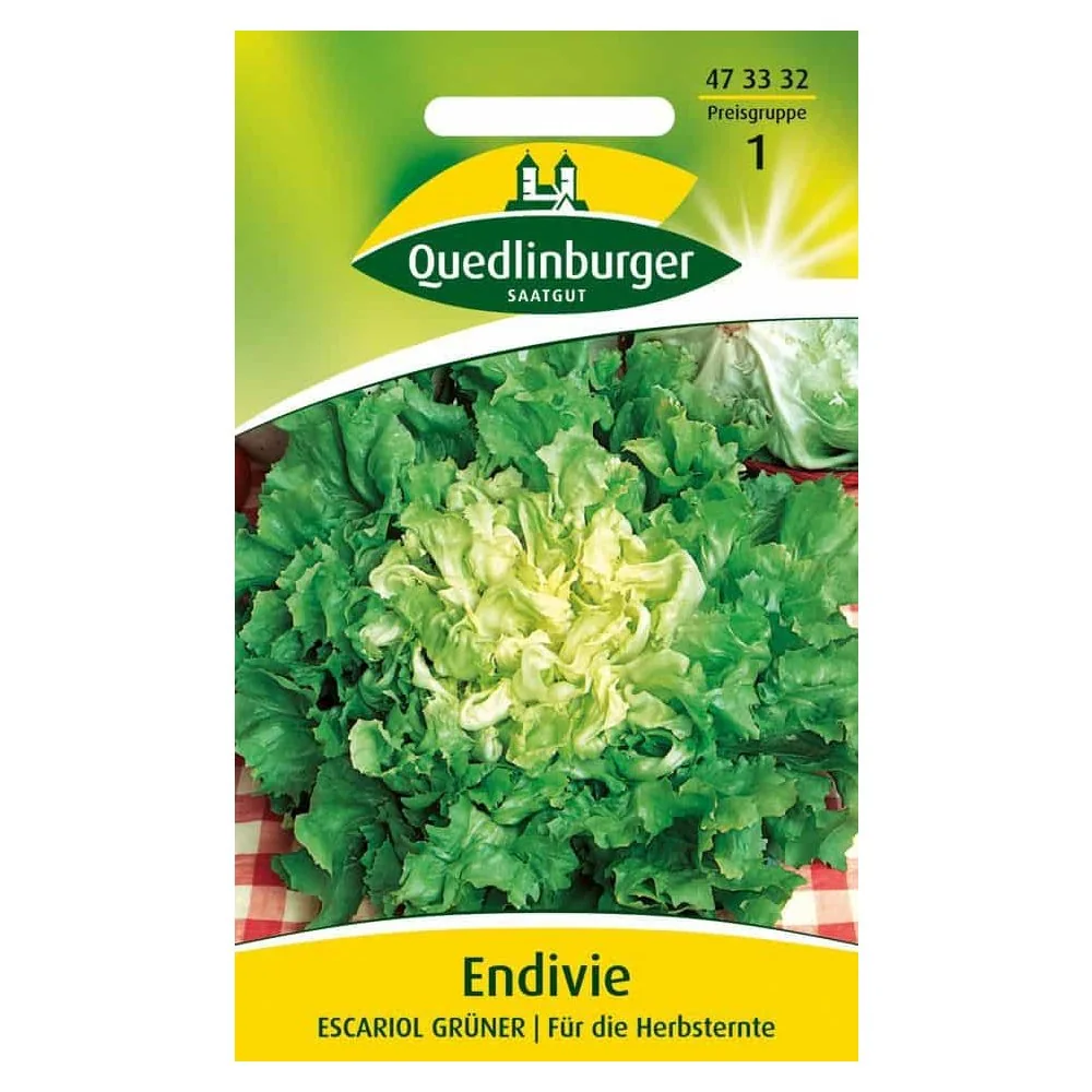 "Endive Scarole Verte: Semis d'Automne image"