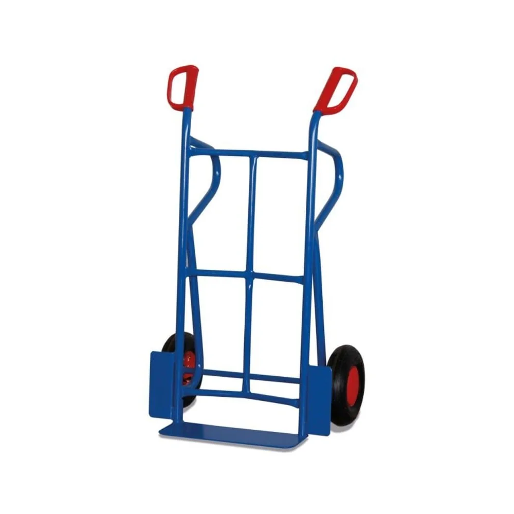 "Brouette Robuste 250 kg avec Roue Gonflable image"