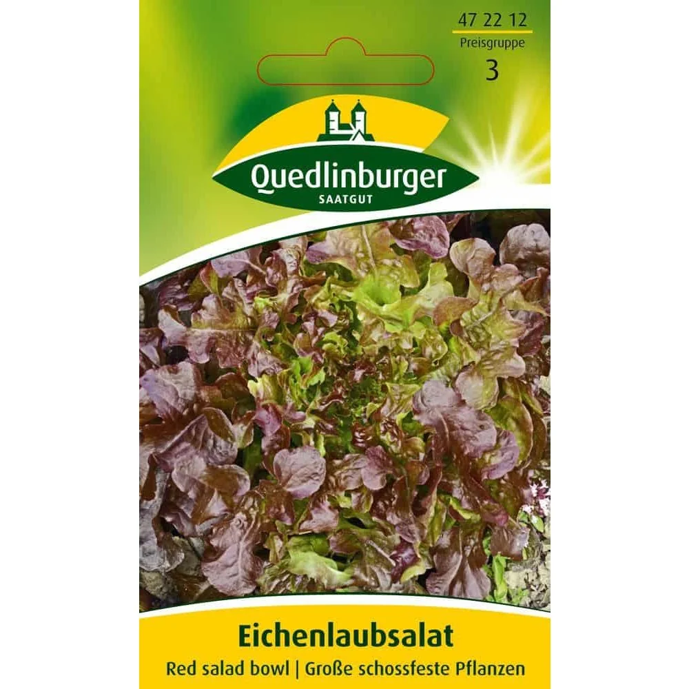 "Graines de Salade, Laitue Feuille de Chêne Rouge à Couper image"