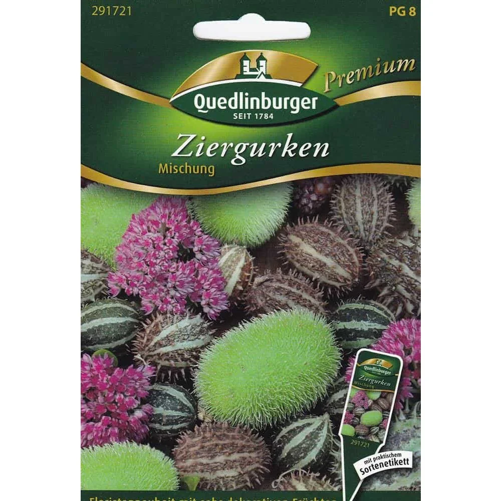 "Graines de Courges Décoratives - Mélange Varié pour Déco Automnale image"