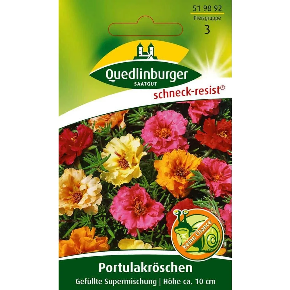 "Pourpier ornemental, mélange super plein image"