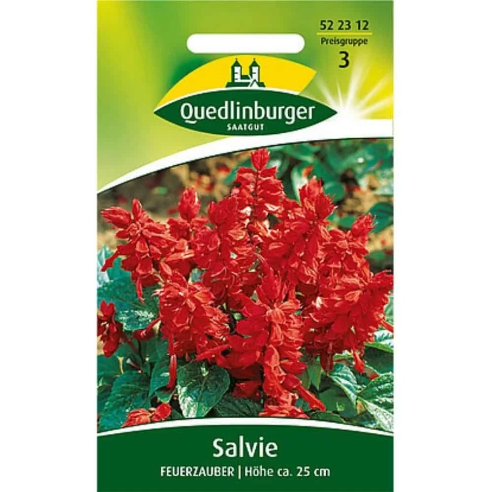 "Salvia Feuerzauber : Ziersalbei annuel pour balcon et jardin image"