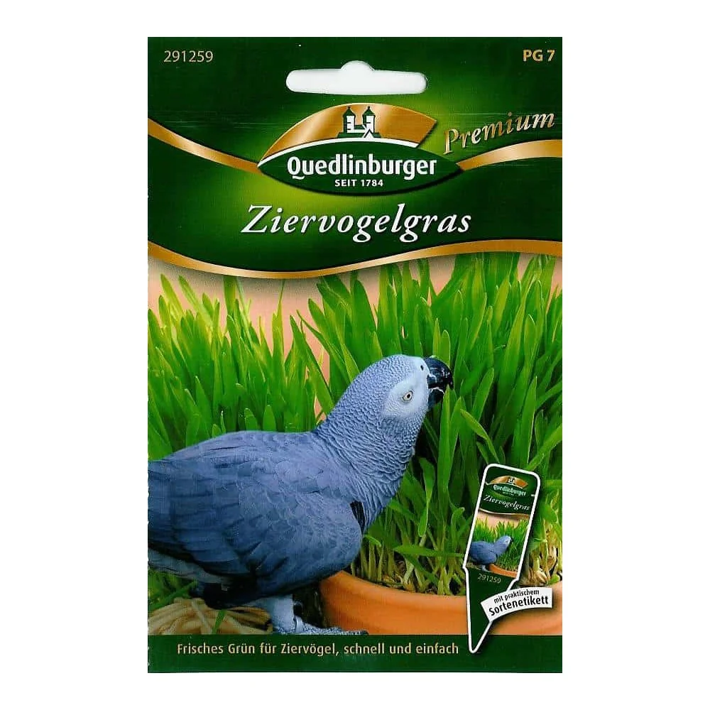 "Herbe pour Oiseaux : Alimentation Naturelle pour Vos Volatiles image"