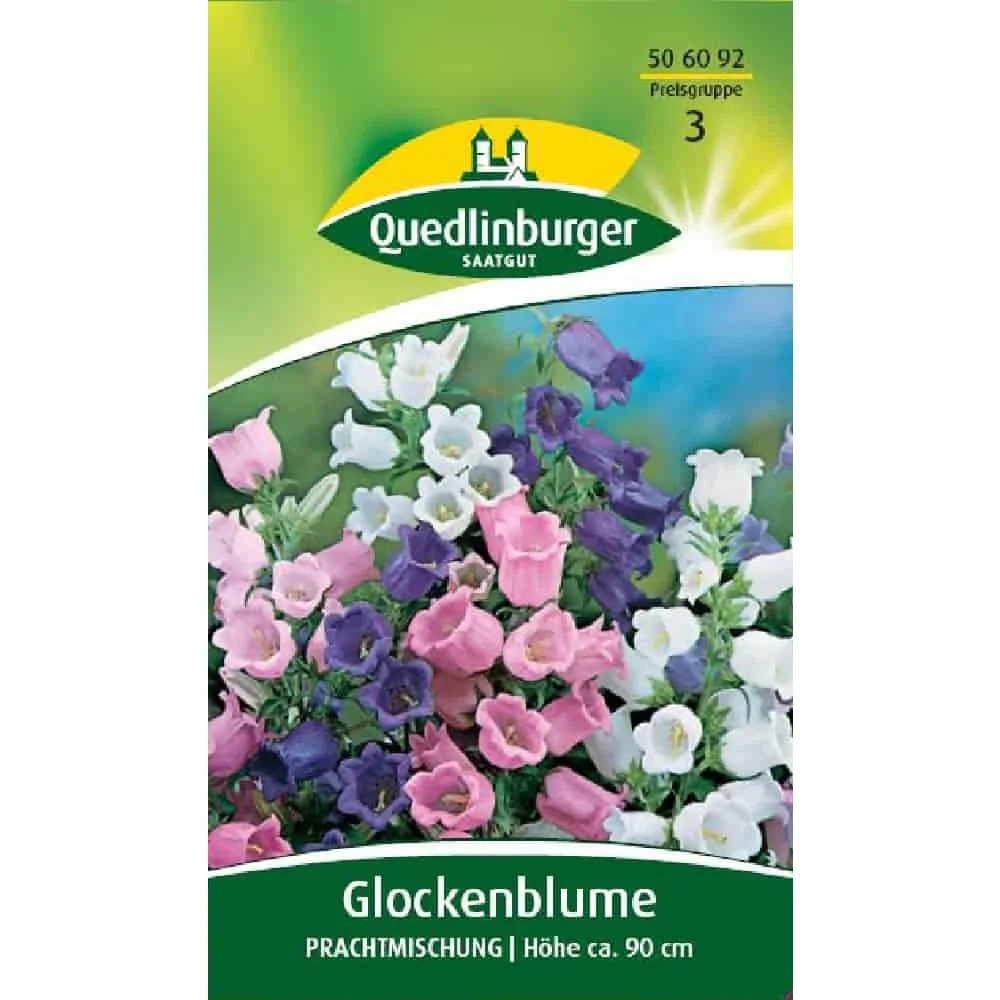 "Graines de Campanules en Mélange image"