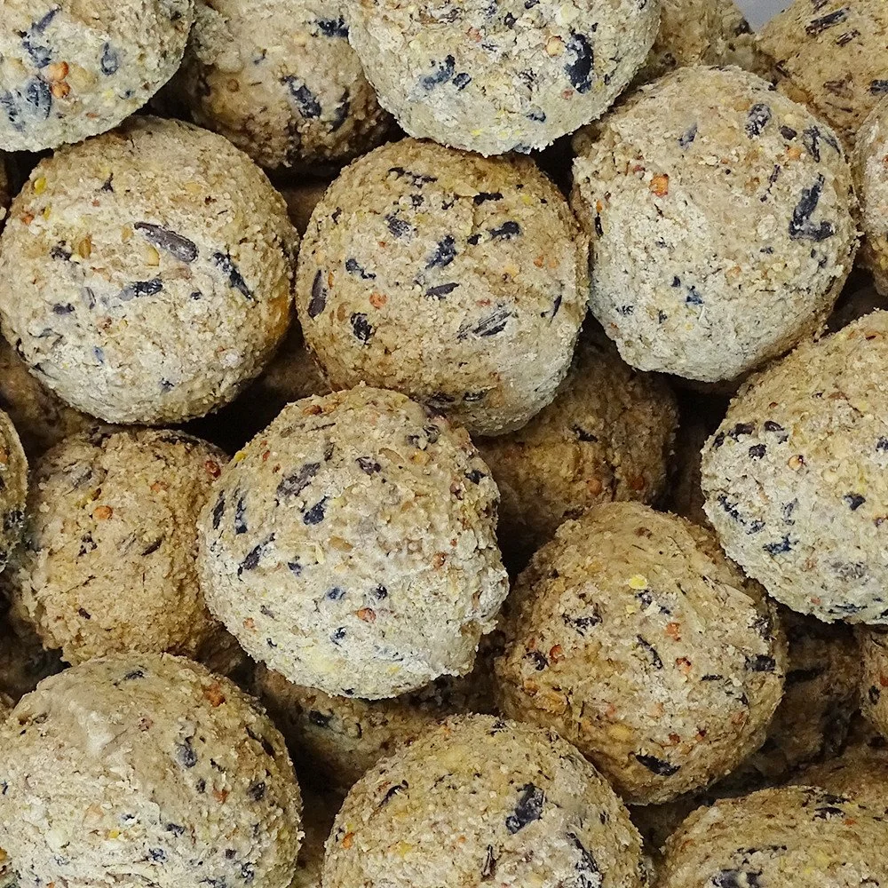 "Boules de graisse pour oiseaux 100 x ca. 90 grammes, nourriture oiseaux hiver, sans filet image"