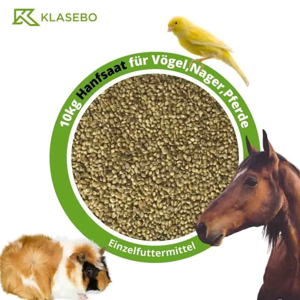 "Graines de chanvre 10kg, chanvre pour oiseaux, rongeurs et chevaux image"