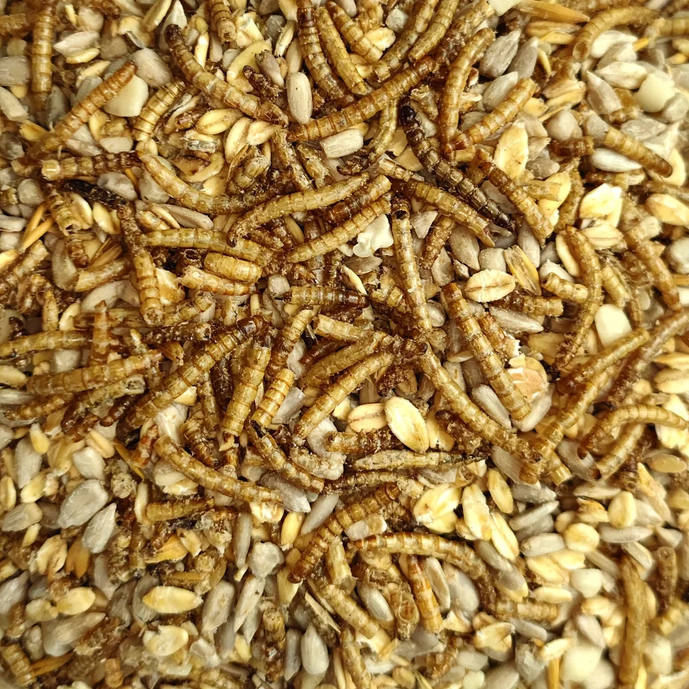 Nourriture pour oiseaux 20 kg de luxe avec vers de farine sans coquilles, adaptée aux espèces sauvages